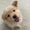 หทัย's profile picture