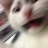 Profilbild von TY