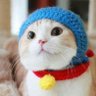 Profilbild von 金多蝦
