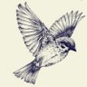 UraniumKiwi profil fotoğrafı
