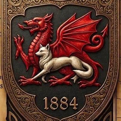 Owen Lewis 🇦🇷🏴󠁧󠁢󠁷󠁬󠁳󠁿🇩🇪's profile picture