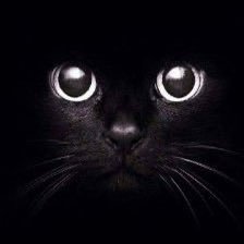 IntriagoJairon's profile picture