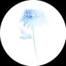 Profilbild von rUnA