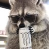 Carin Lyon's profile picture
