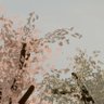 Denhop profil fotoğrafı