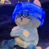 Profilbild von ずっち9/27紫にて