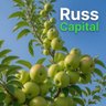 Profilbild von Russ_Capital