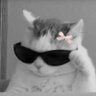 Profilbild von change corrupt system