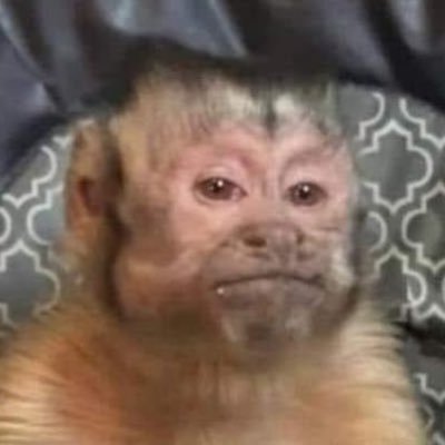 katia's profile picture