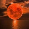Фото профиля lunarossa