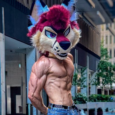 BookerFoxeh's profile picture