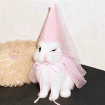 PoundbaA's profile picture