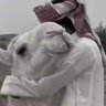 البيضاني عبدالكريم's profile picture