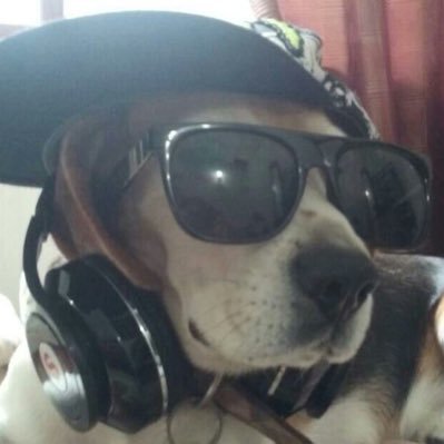 SWAGADOOGY's profile picture