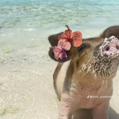 b__andrew's profile picture