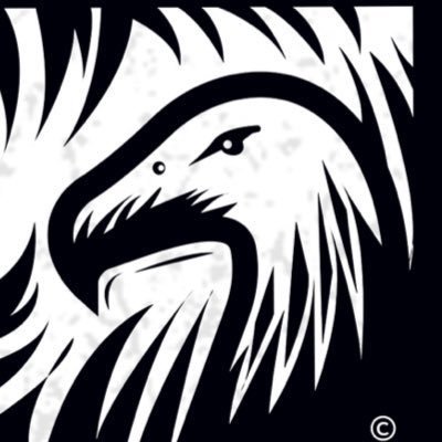 vulturetrade894's profile picture