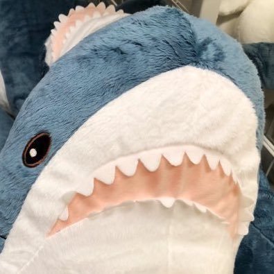 おろし's profile picture