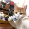 Denoliii's profile picture
