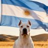 Mati Mat 🐔🇦🇷 profil fotoğrafı