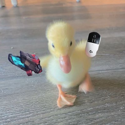 Snowl's profile picture