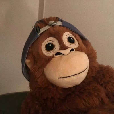 xveoa82842122's profile picture