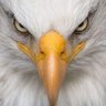 عبدالله الخليفي 🇾🇪 profil fotoğrafı