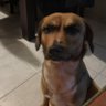 Isabor22 profil fotoğrafı