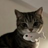 Hazel's profile picture
