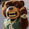 Bruiser's profile picture