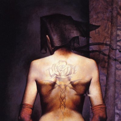 fitchivalry's profile picture