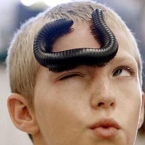 inside the mind of a yapper's profile picture