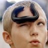 ‏inside the mind of a yapper's profile picture