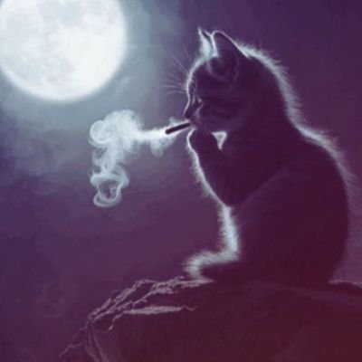 vinesalu's profile picture