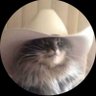 Fefa's profile picture
