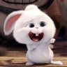 Ari ;ez (´ω`)'s profile picture