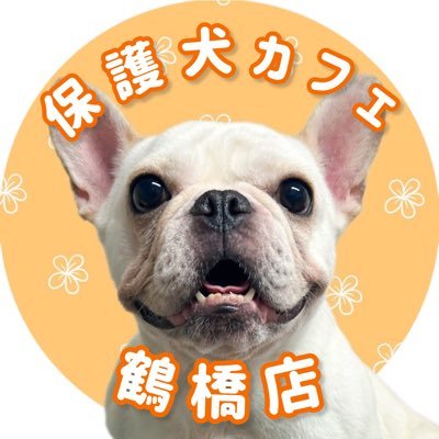 保護犬カフェ®鶴橋店's profile picture