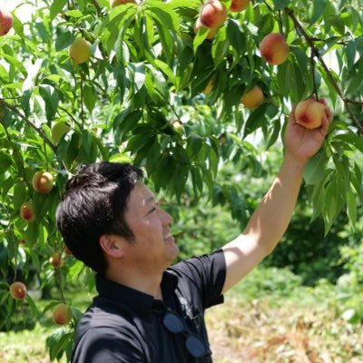 つむぎ's profile picture