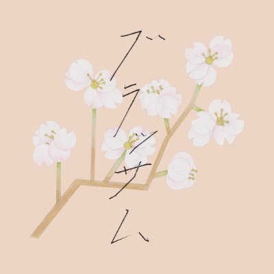 asadora_bk_nhk's profile picture