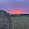 Фото профиля Terry Love