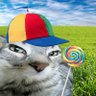 user_br3 profil fotoğrafı