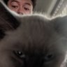 Shiiiiiii 🐝 profil fotoğrafı