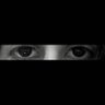 Maria jose's profile picture