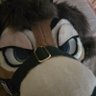 Profilbild von winch