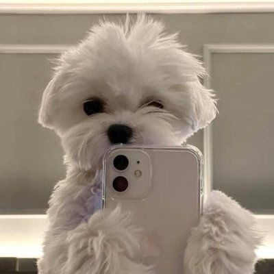 신드롬's profile picture