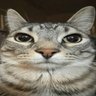 Profilbild von ranter