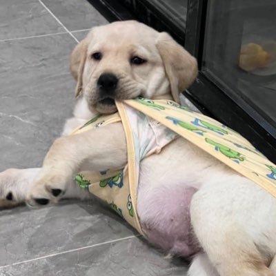 _empttysoul_'s profile picture