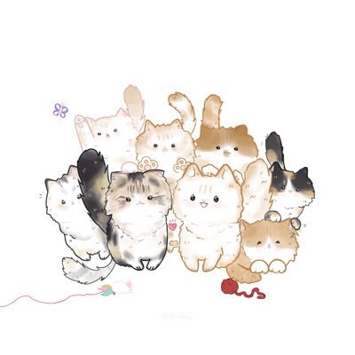Pkimkey's profile picture
