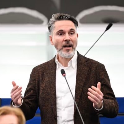 Fabio De Masi 🦩's profile picture
