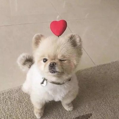 TurnerGail79317's profile picture