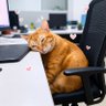 mleuxs's profile picture